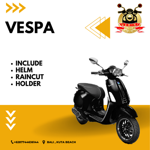 rental motor bali - Gemini - 3
